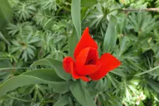 DSCF0508.webp