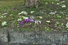 DSCF0515 (2).webp