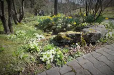 DSCF0521 (2).webp