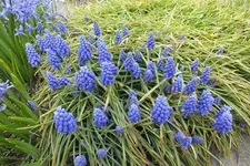 DSCF0526.webp