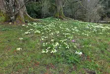 DSCF0528 (3).webp