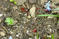 DSCF2641.webp