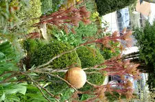 DSCF2642.webp