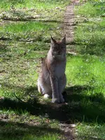 100_5839.webp