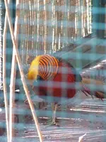 100_5855.webp