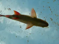 100_5904.jpg