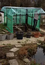 Tomatenhaus1.webp