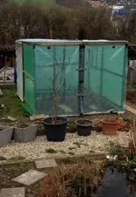 Tomatenhaus2.webp