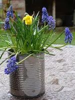 50a.webp