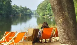 orange (11).webp