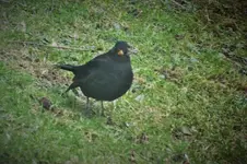DSCF0608 (2).webp