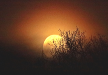 milchiger Vollmond_leicht abnehmend1_700.webp