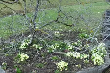 DSCF0516 (2).webp