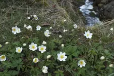 DSCF0523.webp