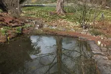 DSCF0534.webp