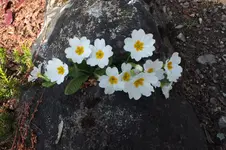 DSCF0535.webp