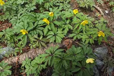 DSCF0539.webp