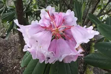 DSCF0544.webp