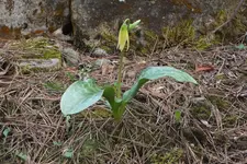 DSCF0547.webp