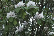 DSCF0548.webp