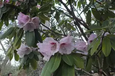 DSCF0549.webp