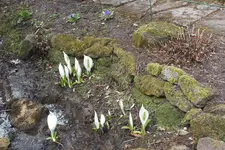 DSCF0557.webp