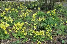 DSCF0562 (2).webp
