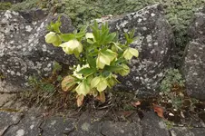 DSCF0567.webp