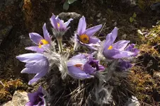 DSCF0569.webp