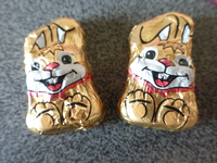 P1310441.webp