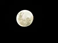 Copy of IMG_9528v.webp
