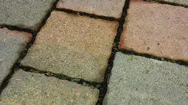 20150407_101319.webp
