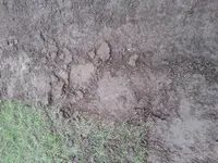 20150407_111440.webp