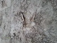 20150407_111429.webp
