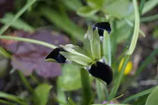 _DSC7886.webp