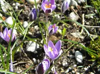 DSCN7442.webp