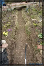 comp_DSC03095.webp