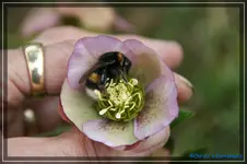comp_DSC03100.webp