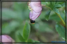 comp_DSC03104.webp