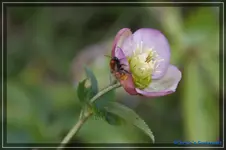 comp_DSC03105.webp