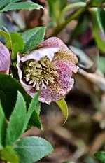 DSC_3980.webp