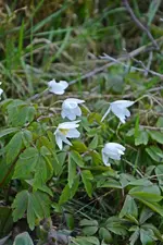 DSC_3982.webp