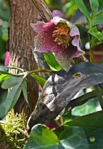 DSC_3993.webp