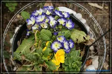 comp_DSC03109.webp