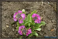 comp_DSC03110.webp