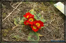comp_DSC03111.webp