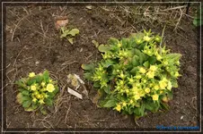 comp_DSC03112.webp