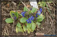 comp_DSC03114.webp