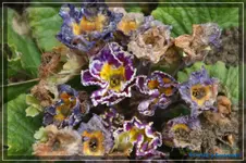 comp_DSC03115.webp