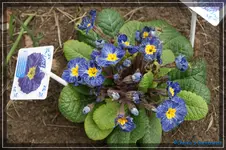 comp_DSC03116.webp